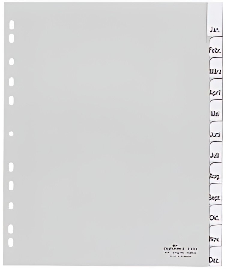 DURABLE Intercalaires mensuels plastique, A4, 12 pièces,gris