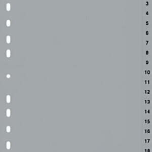 DURABLE Intercalaires en plastique, chiffres, A4, 20 touches