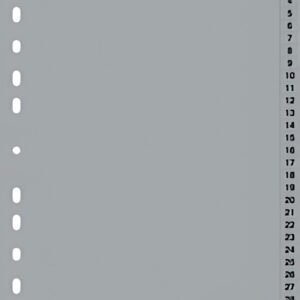 DURABLE Intercalaires en plastique, chiffres, A4, 31 touches