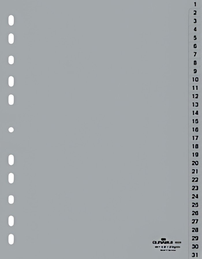 DURABLE Intercalaires en plastique, chiffres, A4, 31 touches