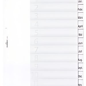 DURABLE Intercalaires en plastique, A4, 12 touches, trans.