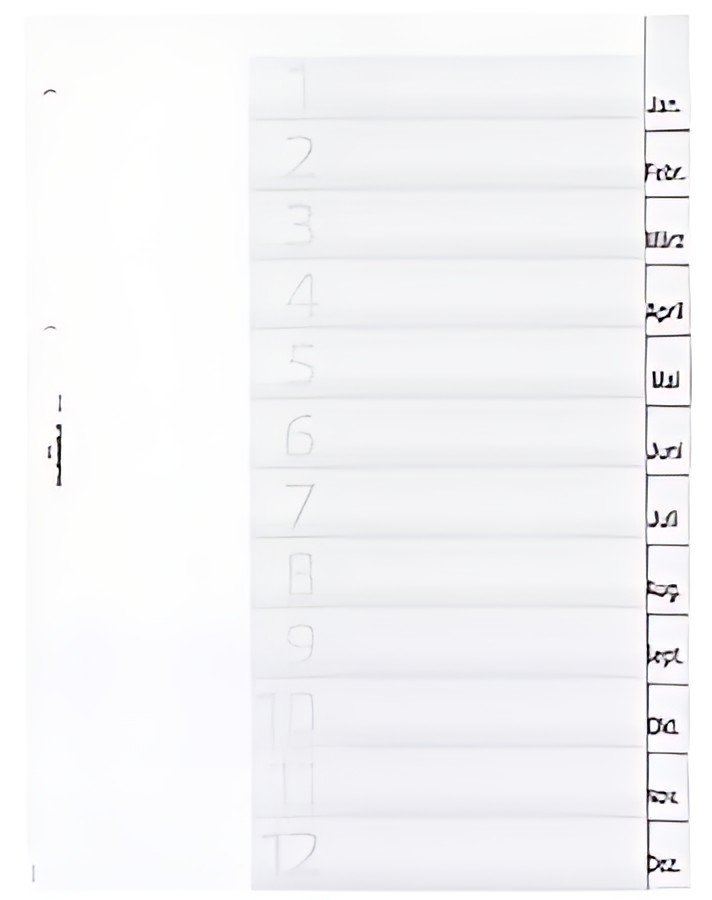 DURABLE Intercalaires en plastique, A4, 12 touches, trans.
