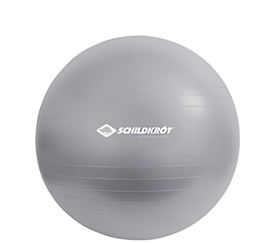 SCHILDKRÖT Ballon de gymnastique, diamètre: 650 mm, argent
