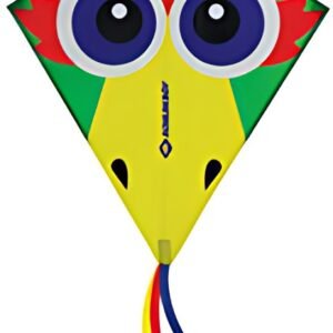 SCHILDKRÖT Cerf-volant acrobatique Classic Kite70 Crazy Bird